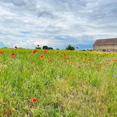 Apartment Kranichrast Tarmow