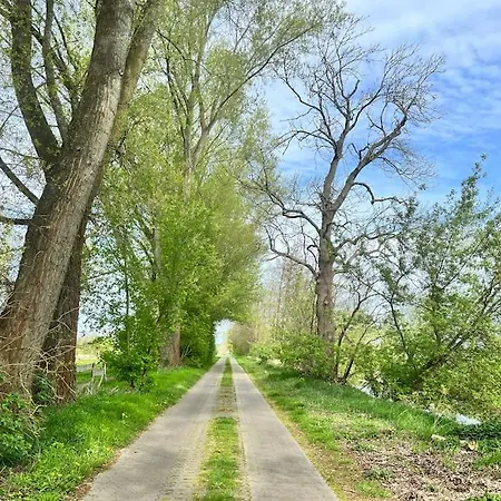 Apartment Kranichrast *