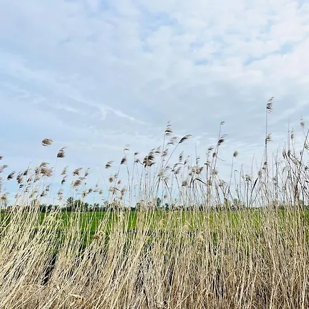 Apartment Kranichrast