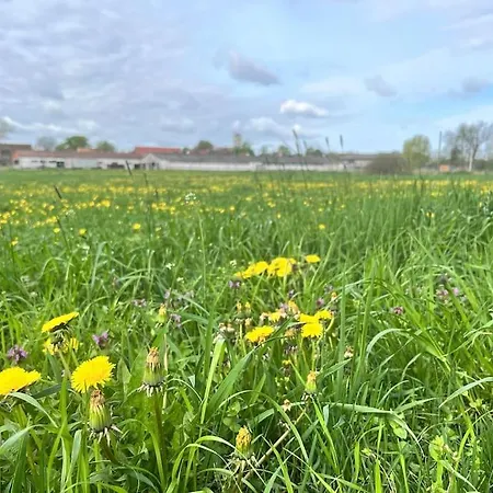 Kranichrast * Tarmow