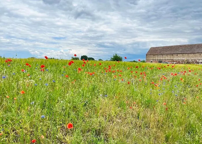 شقة Kranichrast Tarmow