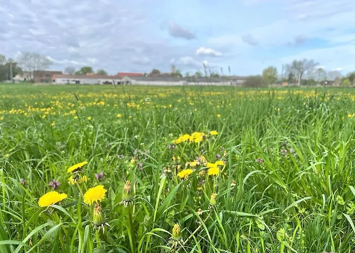 Kranichrast * Tarmow